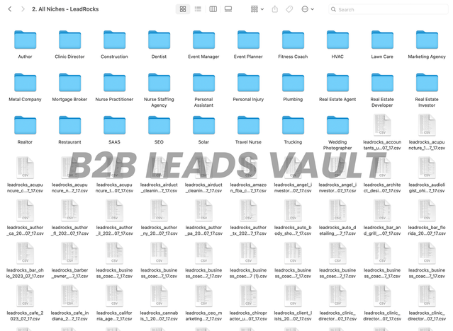B2B Leads Database Sample 3